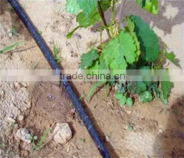 Drip Irrigation Line. 0.25mm Thickness +30CM SPACE. photo-4