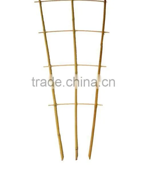 Bamboo Trellis - Bamboo Fan Trellis - Top Quality