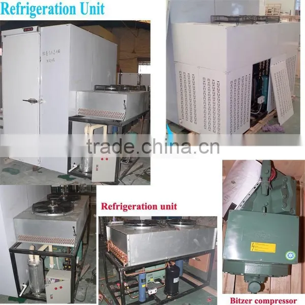 Instant Freezer for 300kg Strawberry Freezing photo-2