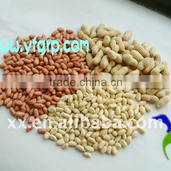 Wholesale Fried Salted Peanuts From Shandong, China photo-2