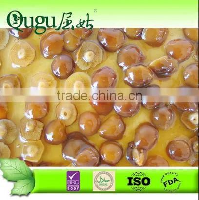 Nameko 3100ml Canned Nameko Canned Nameko Mushroom