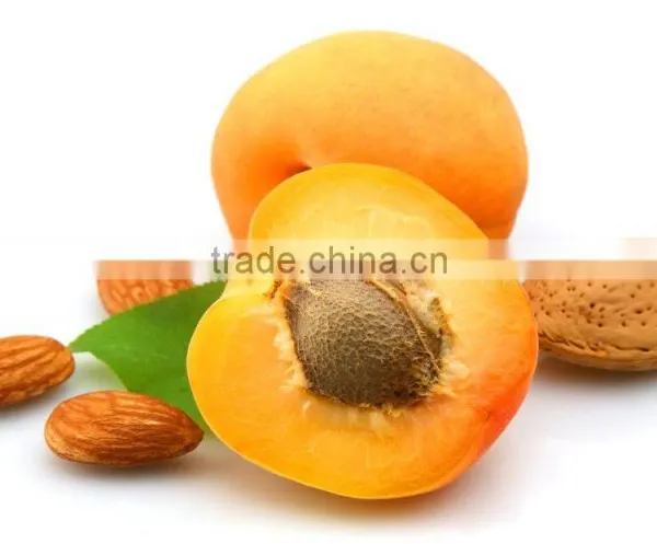 Apricot Kernel photo-4