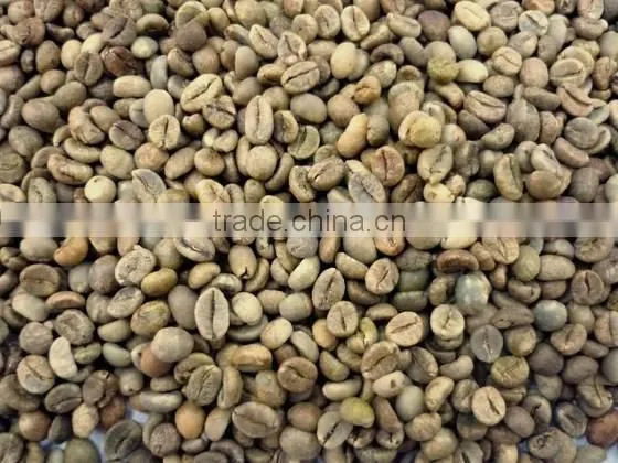 Robusta Coffee Bean