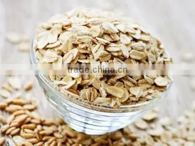 Oats photo-2