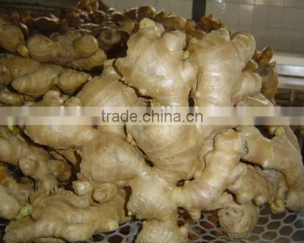 Organic Fresh Ginger photo-2