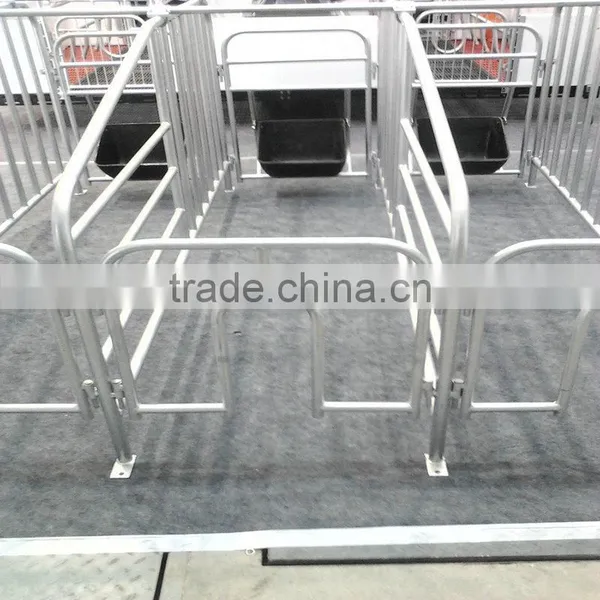 Hot Sales Gestation Stalls for Pigs photo-3