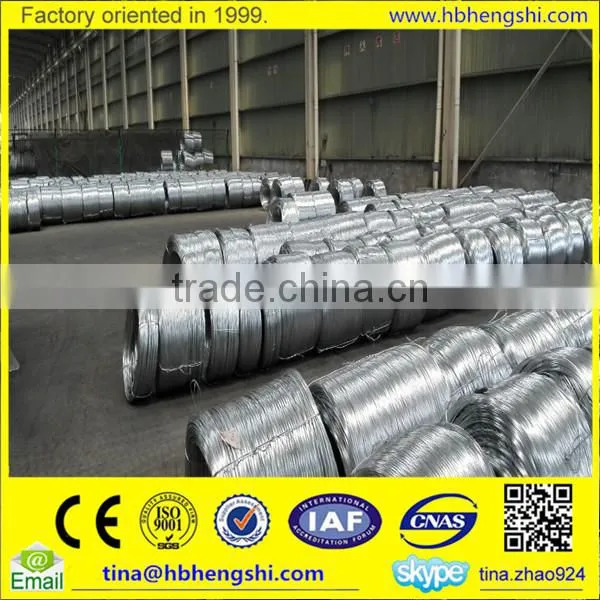 Real Factory Electro Galvanized Iron Wire and Galvaized Binding Wire photo-5