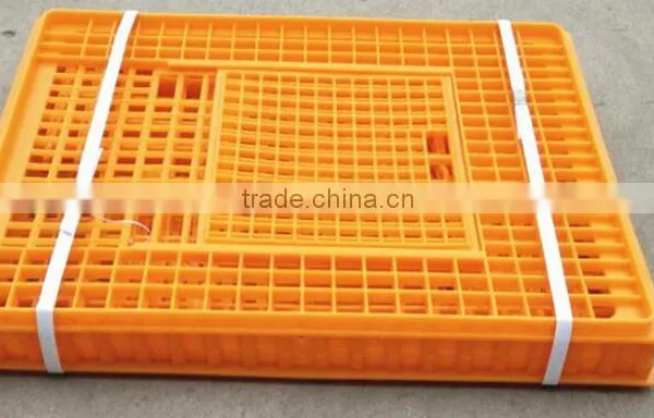 This is Your Want Best Chicken Transport Box . Loading 10 -14 Chickens photo-5