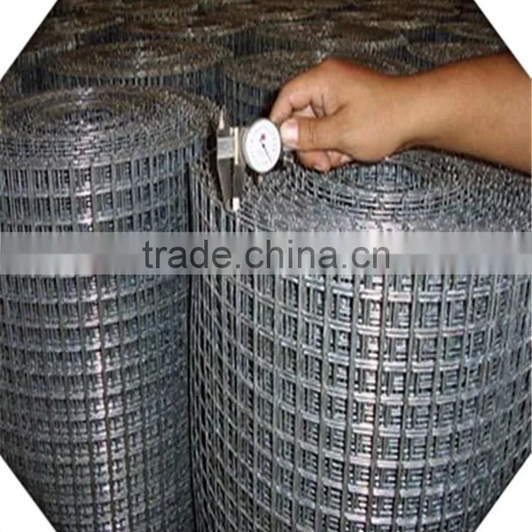 Galvanized Welded Wire Mesh / Weled Wire Mesh Factory photo-2