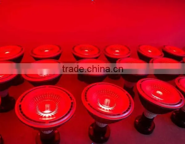 Brand-new 18w Cob Led Grow Light Road Plant Grow Light for Flower Indoor Hydroponics photo-4
