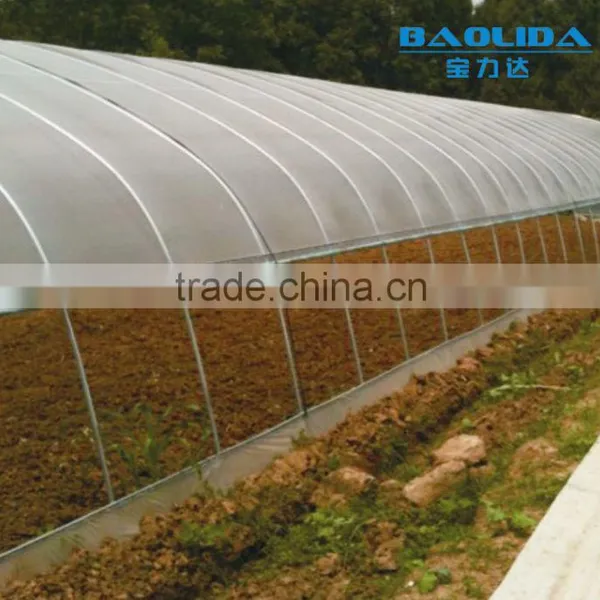 Cheap Vegetables Tunnel Greenhouse Baolida Tunnel Green House photo-2