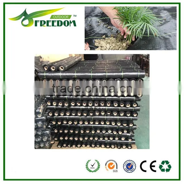 High-quality Plastic Ground Cover for Agriculture photo-5