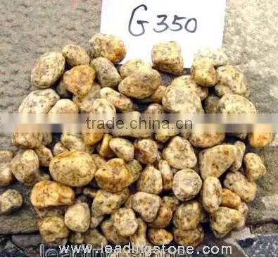 High Polished ! Natural Garden Pebbles for Sale photo-3