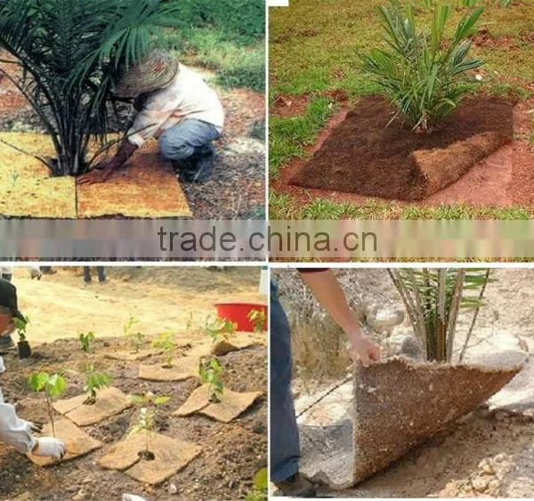 Palm Fiber Mat photo-6