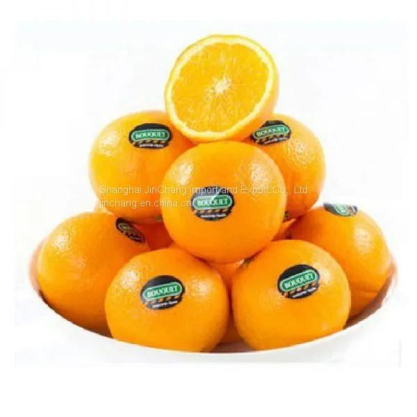 Fresh Fruits Import Agent|customes Clearance Servive