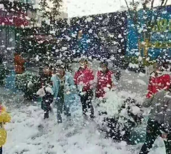 Rental of Props for the Launch Ceremony, Party Bubble Party, Bubble Run, Dry Ice, Gilded Scroll
