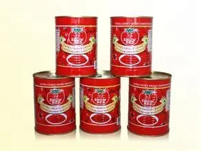 Automatic Complete Full Line Tomato Paste Sauce Ketchup Factory Plant Processing Machine photo-6
