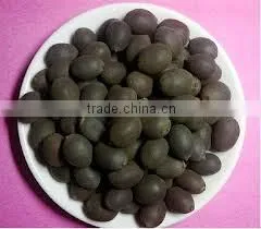 DRIED BLACK LOTUS SEED BEST QUALITY_COMPETITIVE PRICE
