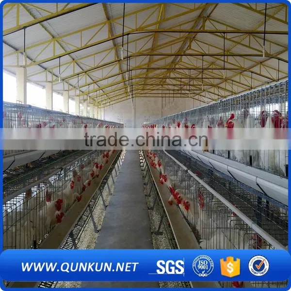 Chicken and Poultry Farming Use Type Poultry Farming Equipment photo-6