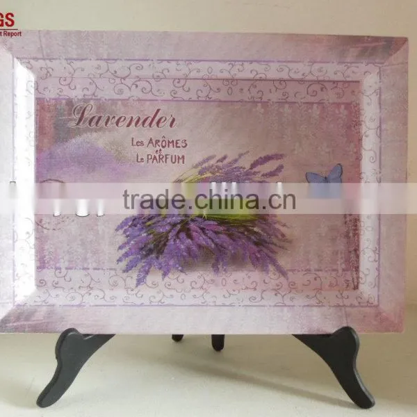 Plastic Serving Tray photo-4