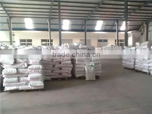 Skimmed Milk Powder