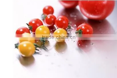China Hot Sell Canned Tomato Paste 70g*100tins,food Tin Can Making Machine photo-4