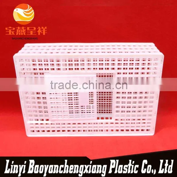 New Polyethylene China White Quail Cages for Sale photo-4