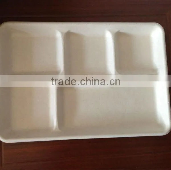 Five Compartment Tray