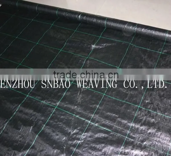 High Quality PP Woven Fabric,pp Woven Fabric for Agriculture,PP Ground Cover Fabric