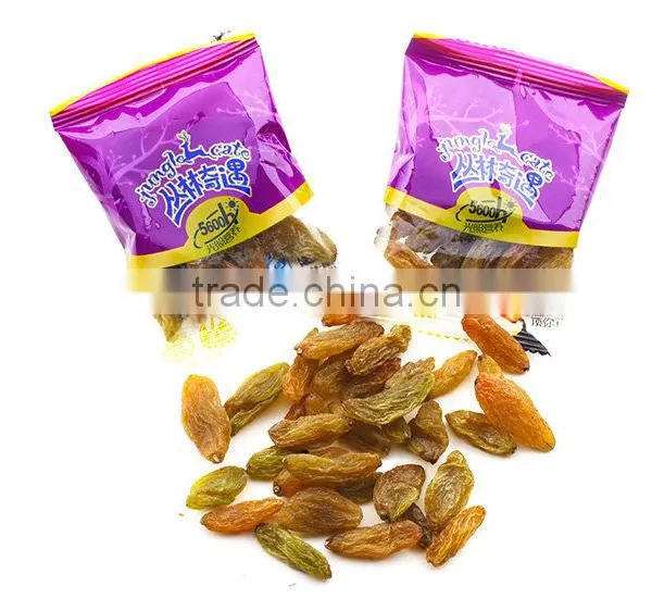 Dried Grapes Automatic Packaging Machine photo-6