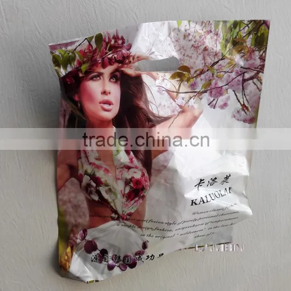 Beautiful Packaging Plastic Bag for Women Classic Fashion Garments photo-2