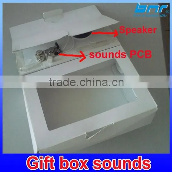Custom Voice Music Chips Sound Modules Voice Recorder For Greeting Cards And Toys photo-3