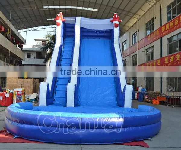 Commercial Inflatable Nemo Cartoon Water Slide With Pool, Giant Inflatable Water Slide for Sale Quality Choice photo-3