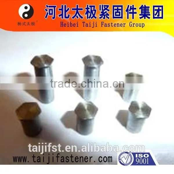 China Manufacture Hex Head Rivet photo-6
