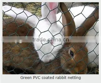 Hexagonal Mesh (anping Manufacturer), Twisted Mesh photo-6
