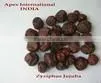 Jujube Fruits