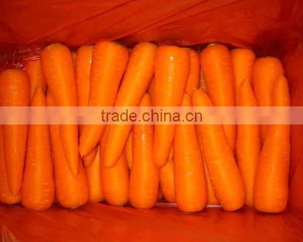 Fresh Carrot