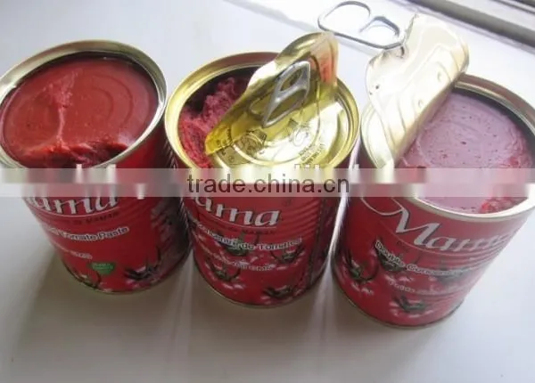 Wholesale Different Tomato Paste Can Sizes/Canned Tomato Paste Factory photo-5