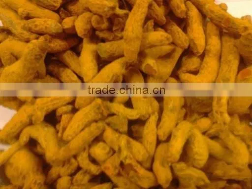 Fresh Turmeric / Dried Turmeric / Turmeric Finger photo-2