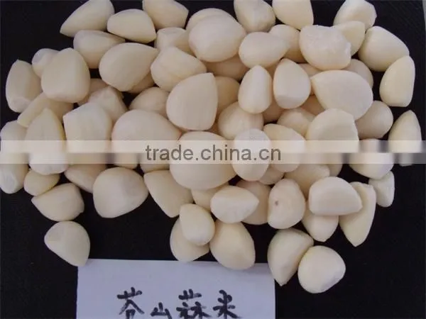 IQF Peeled Garlic for Sale / Frozen Garlic for Export photo-3