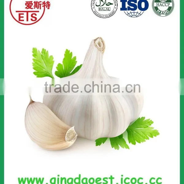 Good Quality and Best Price Hot Sale Fresh Pure White Garlic photo-5