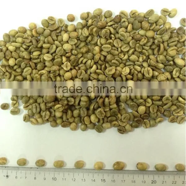 WET POLISHED ROBUSTA GREEN COFFEE BEANS GRADE 1 SCREEN 18 photo-2