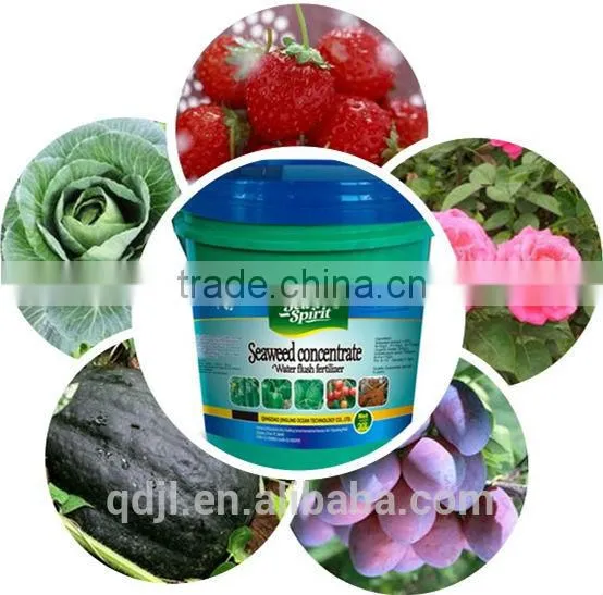 Concentrate organic liquid seaweed fertilizer