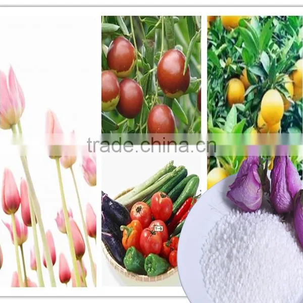Agro-link Calcium Ammonium Nitrate Fertilizer photo-4