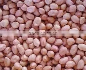 Almonds Kernels Grader Sorter Packing Fruit Sorting Machine photo-6