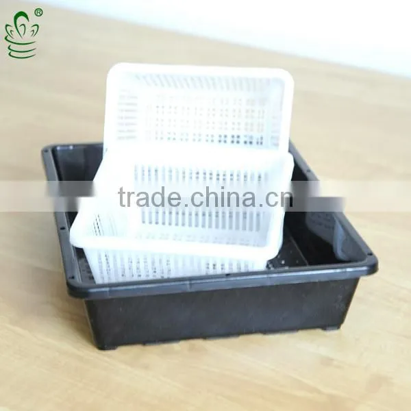 pp Plastic Style and Plastic Tray Without Holes photo-3