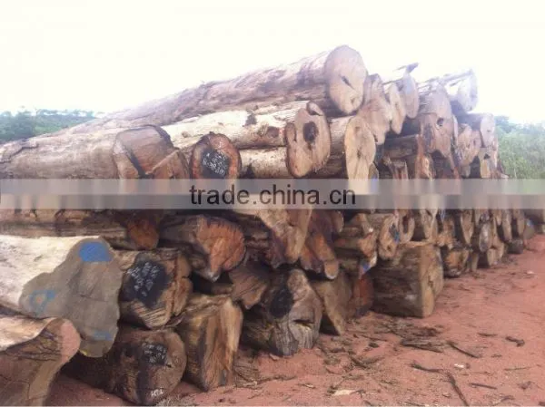 PTEROCARPUS SP LOGS FROM LAOS