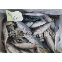 Frozen Indian Mackerel Whole Round