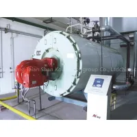 WNS Series Oil Burning Boiler (gas Fired -boiler)