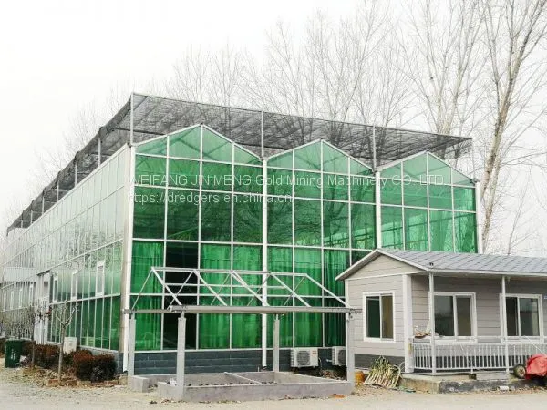 Hydroponic Glass Greenhouse Tomatoes/Lettuce Planting photo-4